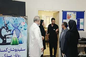 بازدید (8)